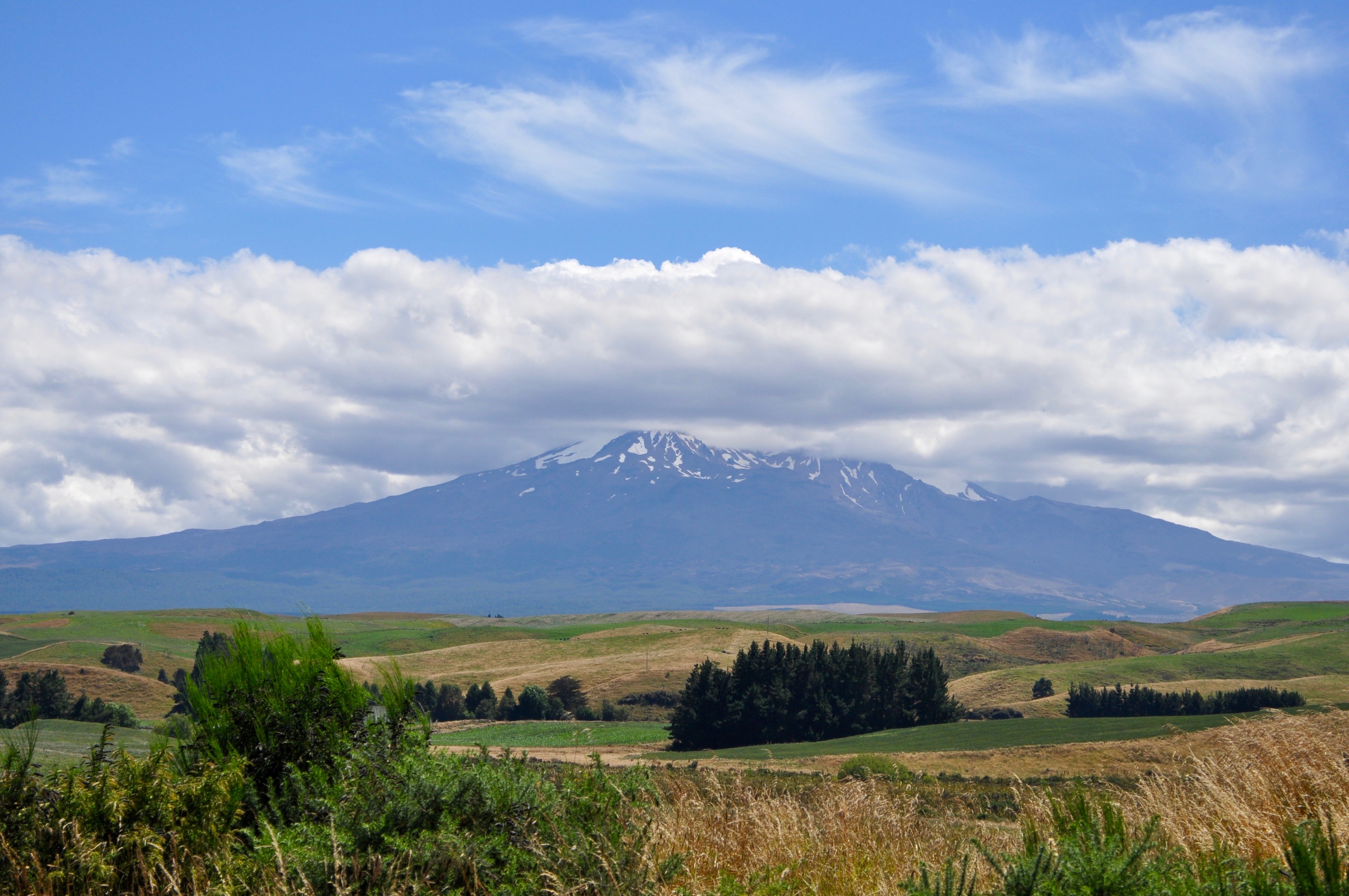 Zugfahrt Wellington - Auckland