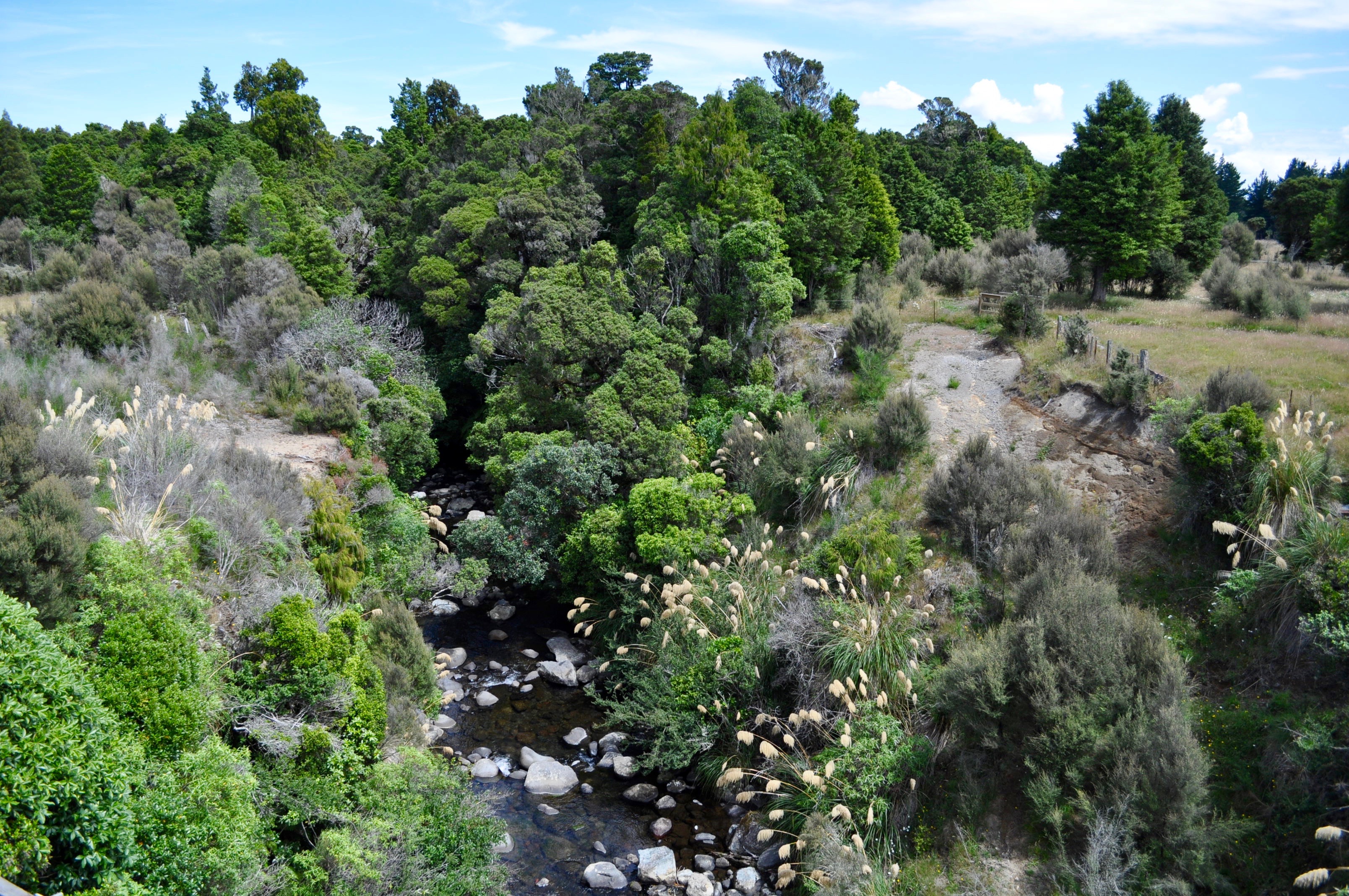 Zugfahrt Wellington - Auckland